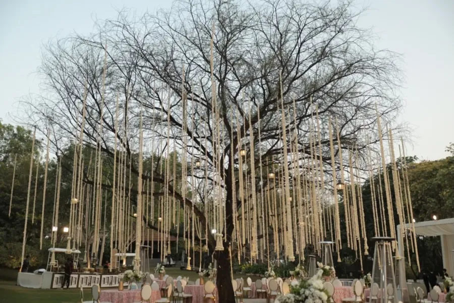 Hanging installations strung between bare winter trees